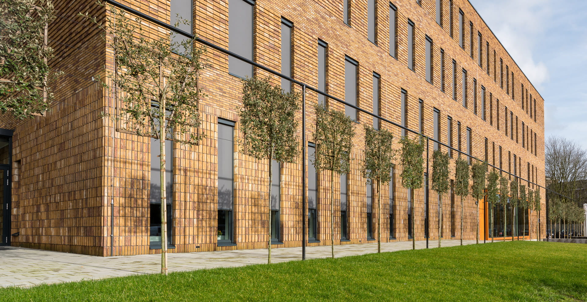 Stenen van het hoornbeeck college in rotterdam met daarvoor leibomen