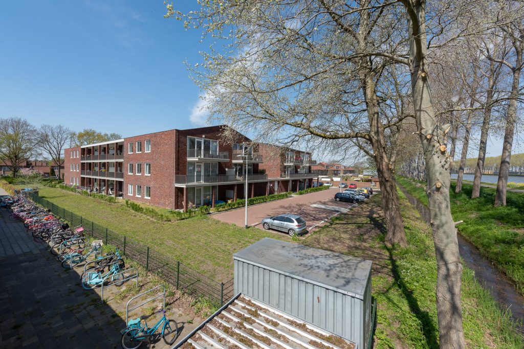 roodbruin gebouw vanaf een afstand bekeken met op de voorgrond een boom en een blauwe lucht