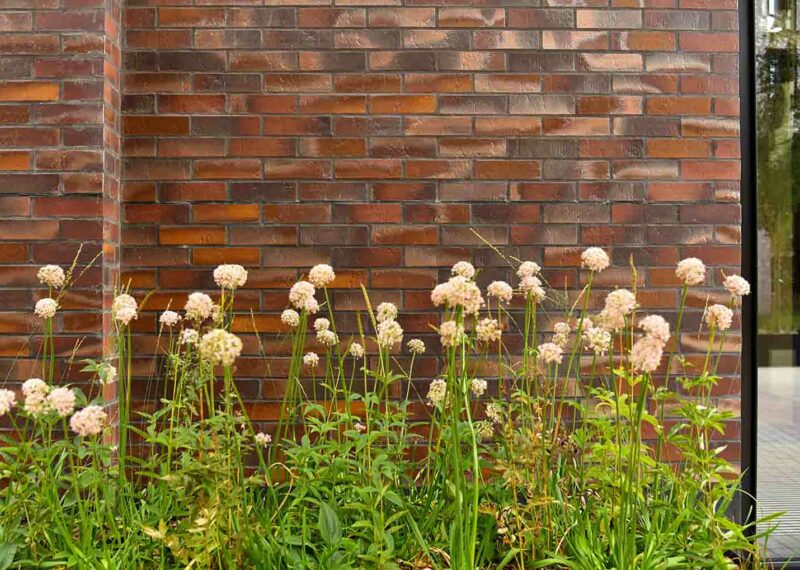 Bruine strips ter illustratie van het gevelsysteem A-Brick met ervoor groene planten