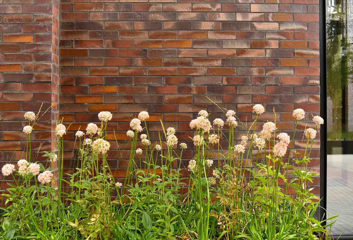 Bruine strips ter illustratie van het gevelsysteem A-Brick met ervoor groene plantenBruine strips ter illustratie van het gevelsysteem A-Brick met ervoor groene planten