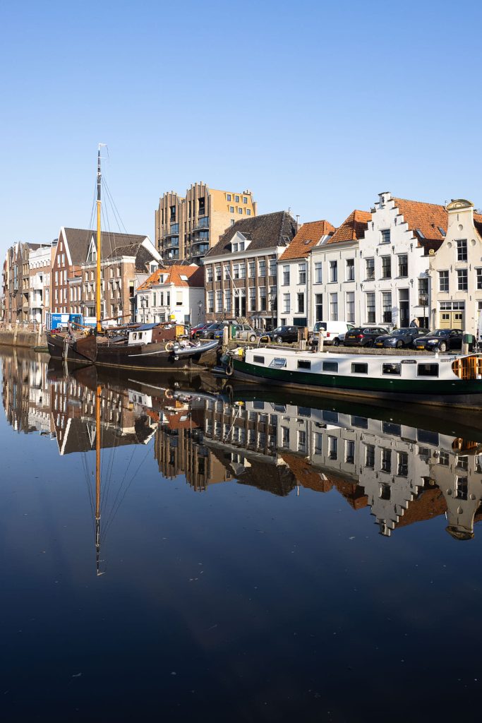 10 Zecc De Koningin Stijn Poelstra