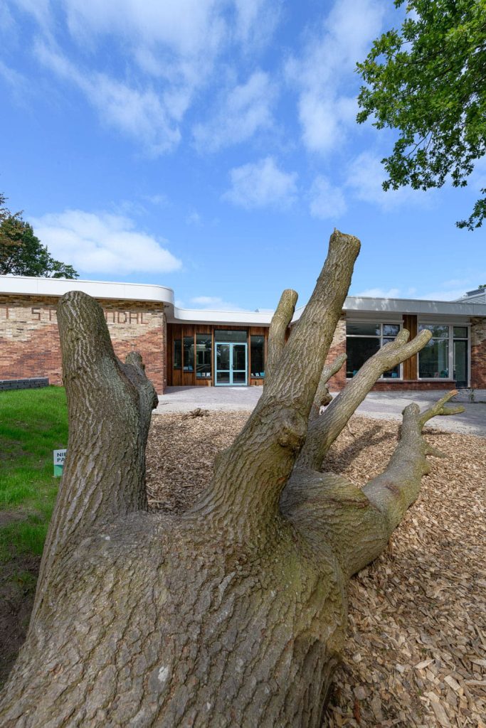 Stroomdal-Zuidlaren-Aberson-steenstrips-met-oude-boom