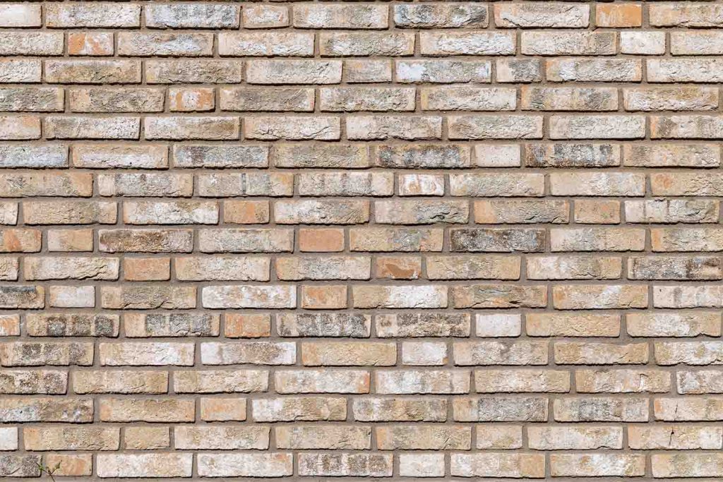 Zuiderparkhof Rotterdam Aberson gevelstenen