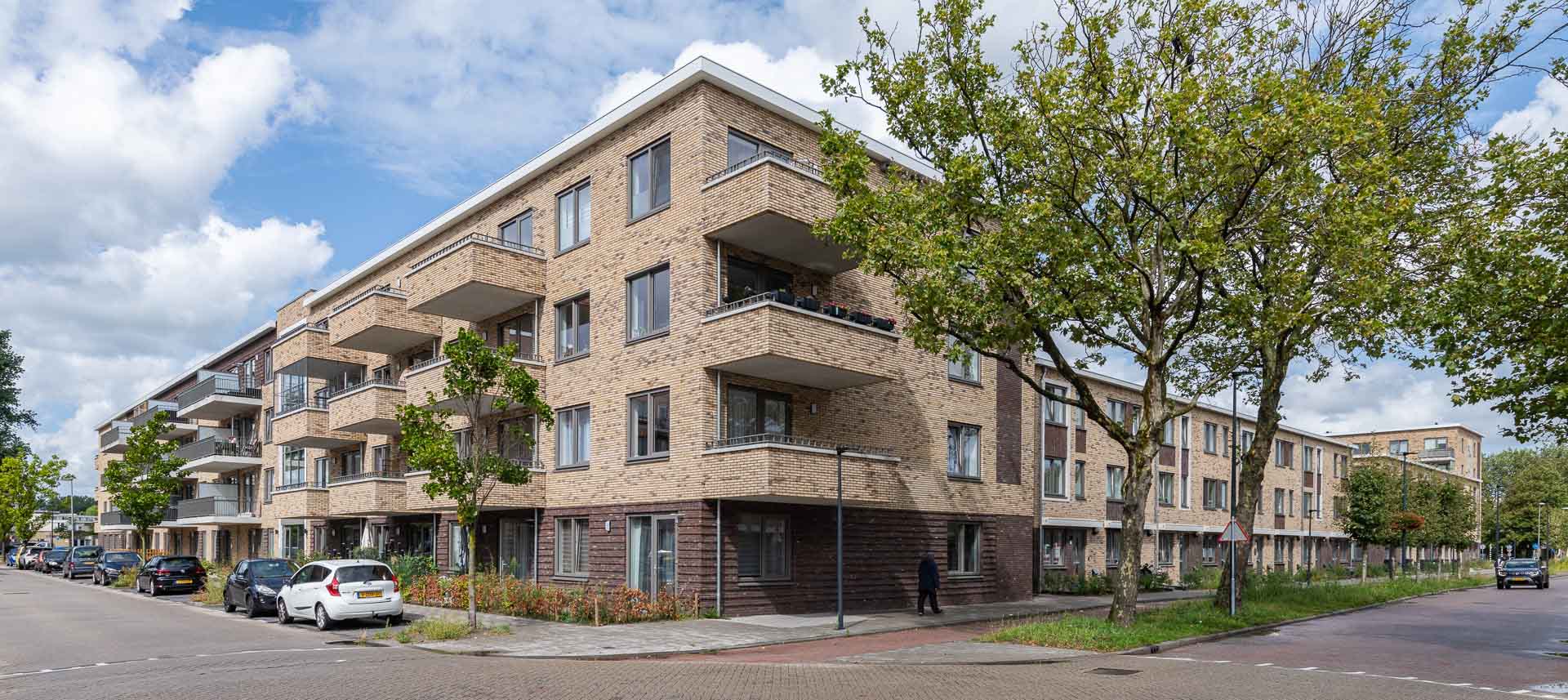 Parkweg Schiedam - gevelstenen - akoestiekstenen - dakpannen - Aberson