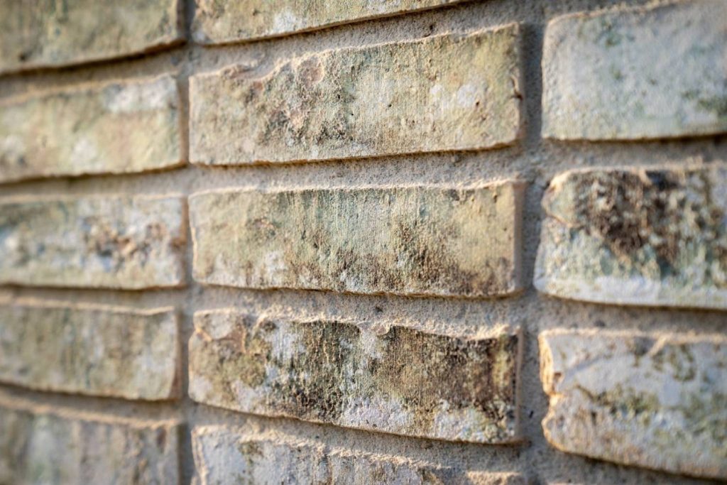 Duurzame gevelsteen EcoBrick project Liesdaal Maren Kessel Duurzaam bouwen Aberson beeld 4 Wienerberger