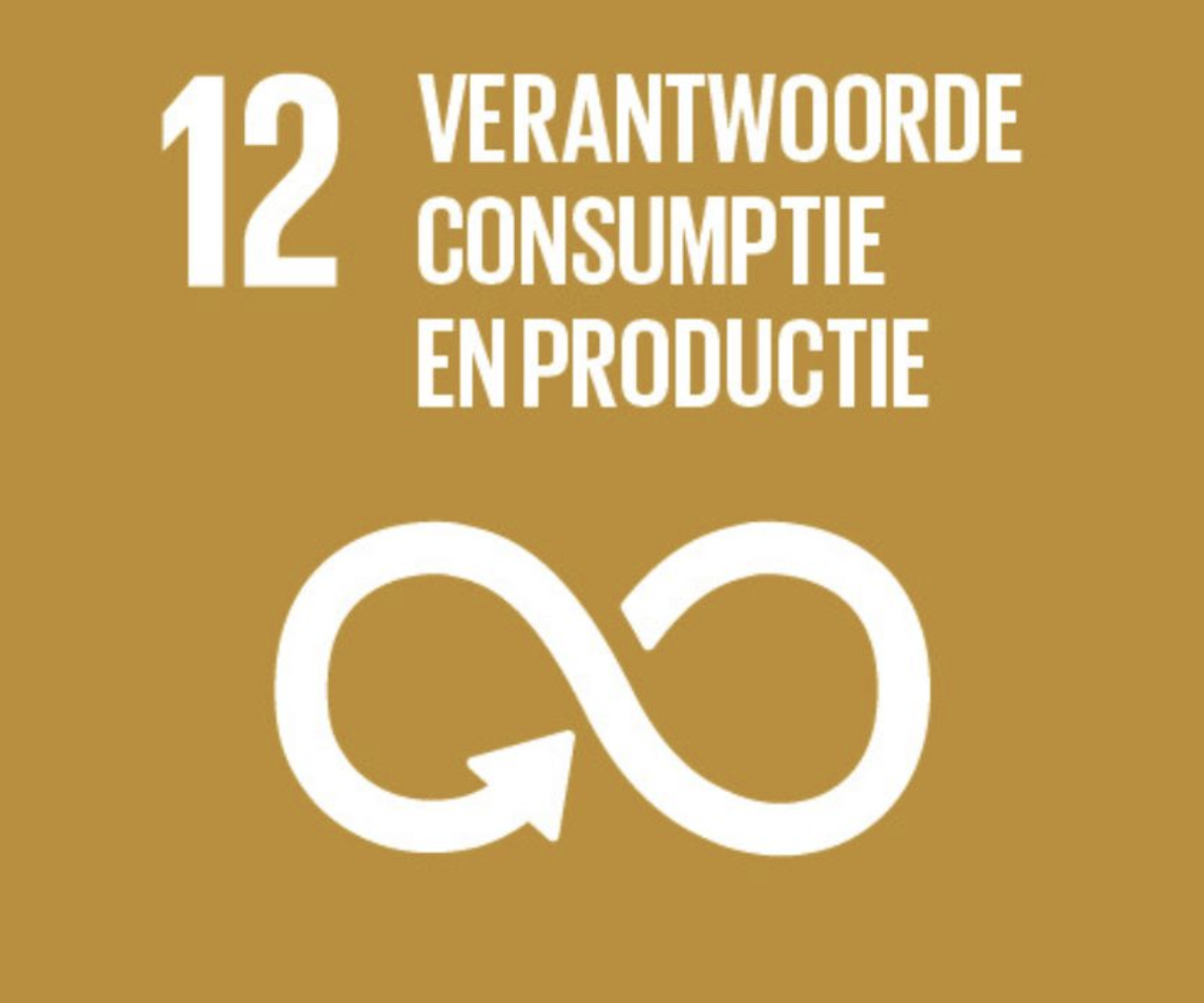 verantwoorde consumptie en productie